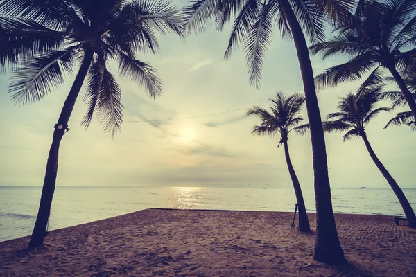 A strand és a tenger gyönyörű kókusz Pálma fa — Stock Fotó