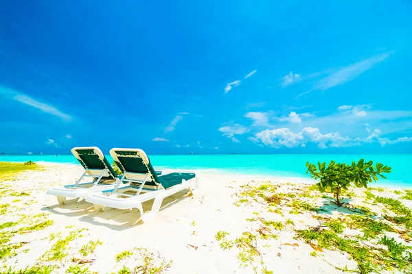 Güzel tropikal plaj 