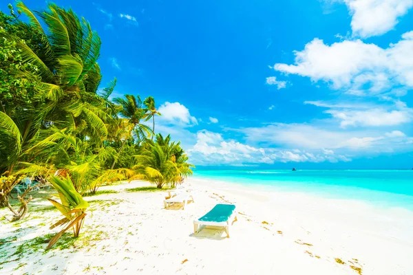 Güzel tropikal plaj 