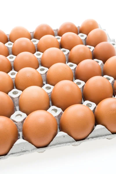 Eggs pack on white — Stock Photo, Image