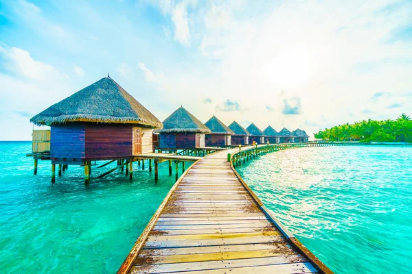 Güzel tropikal Maldivler ada