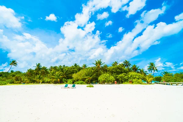 Güzel tropikal plaj 