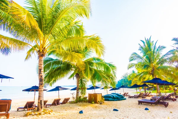 Güzel tropikal plaj 