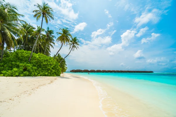Güzel tropikal Maldivler ada