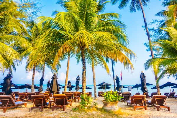 Güzel tropikal plaj 