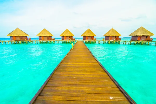 Güzel tropikal Maldivler ada