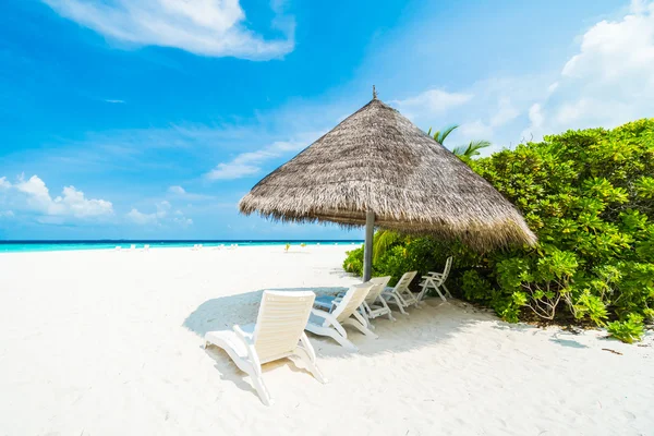 Güzel tropikal plaj 