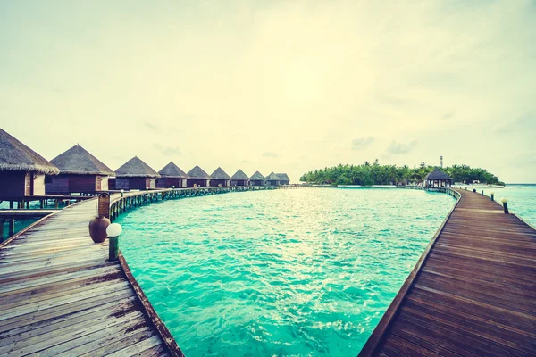 Güzel tropikal Maldivler ada