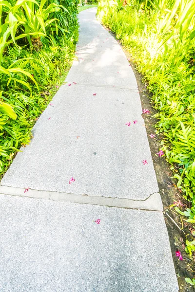 Stenen pad manier de tuin — Stockfoto