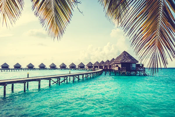 Güzel tropikal Maldivler resort