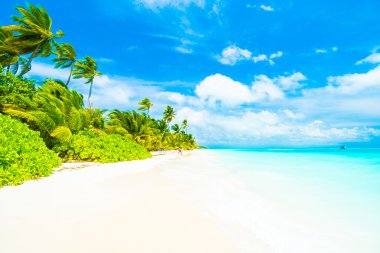 Güzel tropikal plaj 