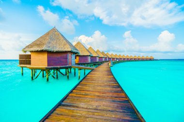 Güzel tropikal Maldivler resort