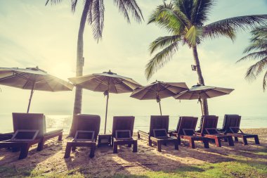 Plaj ve deniz güzel Hindistan cevizi hurma ağacı