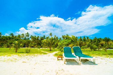 Güzel tropikal plaj 