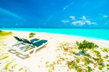 Güzel tropikal plaj 