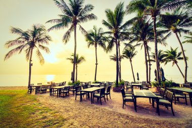 Plaj ve deniz güzel Hindistan cevizi hurma ağacı