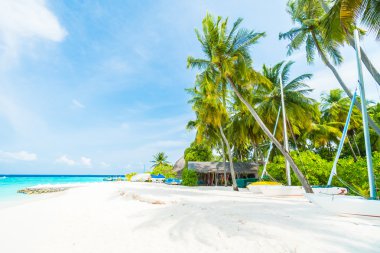 Güzel tropikal Maldivler resort