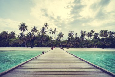 Güzel tropikal plaj 