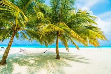 Güzel tropikal plaj 