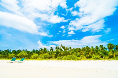 Güzel tropikal plaj 