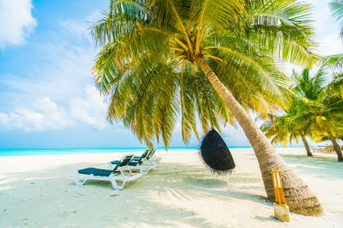 Güzel tropikal plaj 
