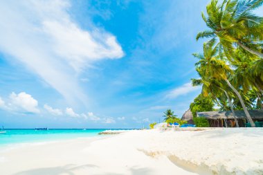 Güzel tropikal Maldivler resort