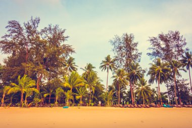 Güzel tropikal plaj 