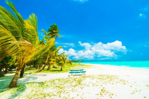 Güzel tropikal plaj 