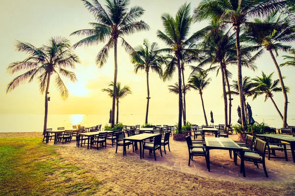 Plaj ve deniz güzel Hindistan cevizi hurma ağacı