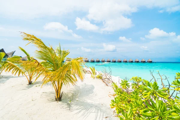 Beautiful tropical Maldives resort — Stock Photo, Image