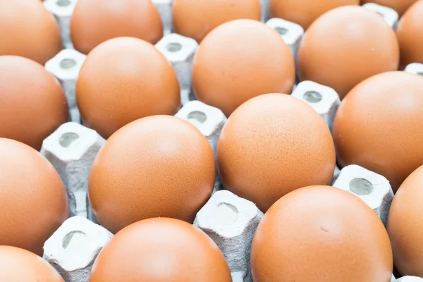 Eggs pack in box — Stock Photo, Image