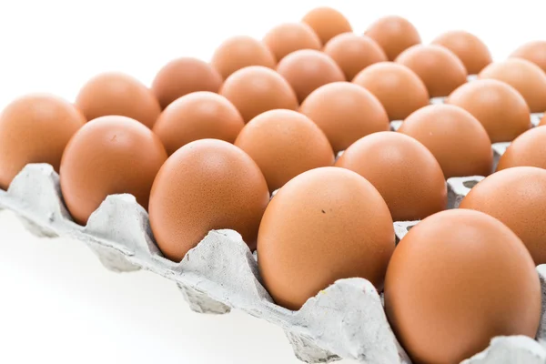 Eggs pack on white — Stock Photo, Image