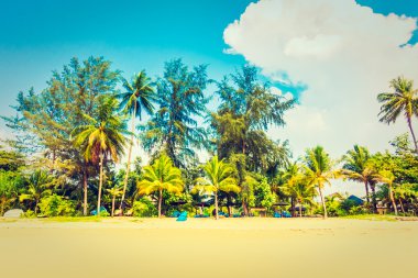 Güzel tropikal plaj 
