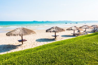 Güzel tropikal plaj 