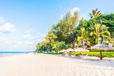 Güzel tropikal plaj 