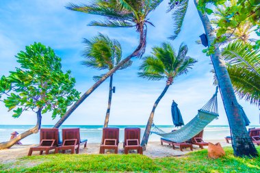 Güzel tropikal plaj 