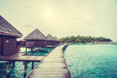 Güzel tropikal Maldivler ada