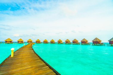 Güzel tropikal Maldivler ada