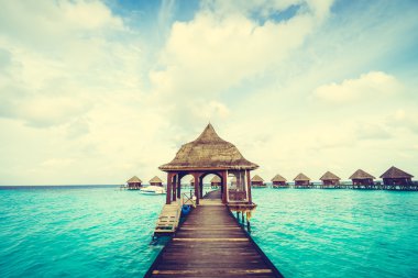 Güzel tropikal Maldivler ada