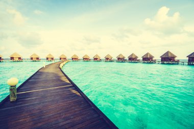 Güzel tropikal Maldivler ada