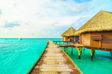 Güzel tropikal Maldivler ada