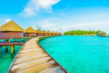 Güzel tropikal Maldivler resort