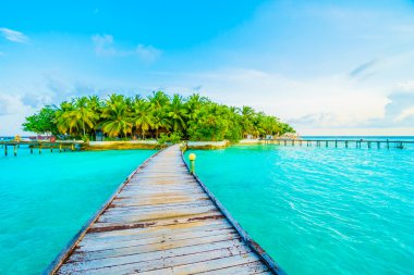 Güzel tropikal Maldivler resort