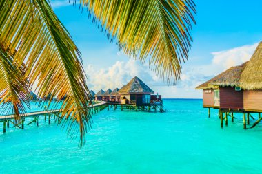 Güzel tropikal Maldivler resort