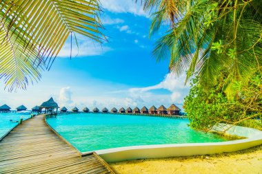 Güzel tropikal Maldivler resort