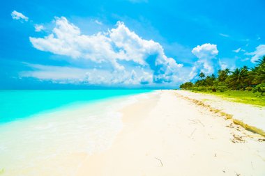 Güzel tropikal plaj 