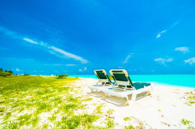 Güzel tropikal plaj 