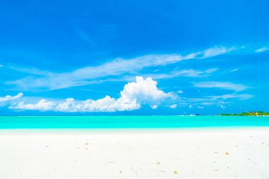 Güzel tropikal plaj 