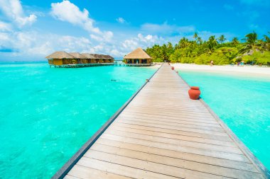 Güzel tropikal plaj 