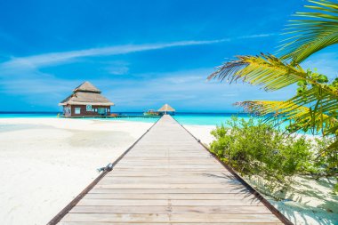Güzel tropikal Maldivler resort